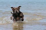 STAFFIE 052